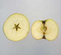 Bramley æbler gennemskåret